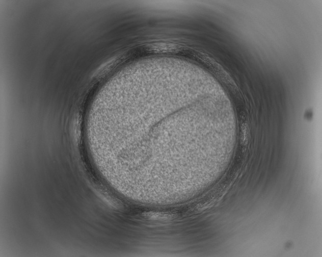 X0000116760733201001141429