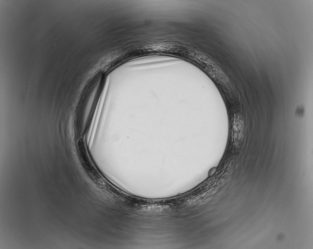 X0000116760734201001141429