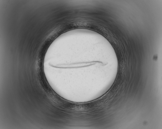 X0000116760735201001141429