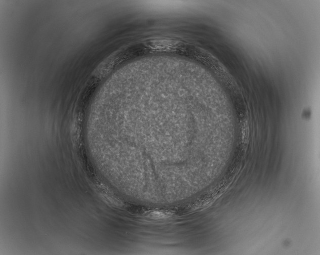 X0000116760737201001141429