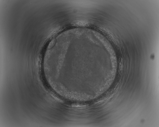 X0000116760739201001141429