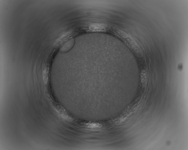 X0000116760741201001141429