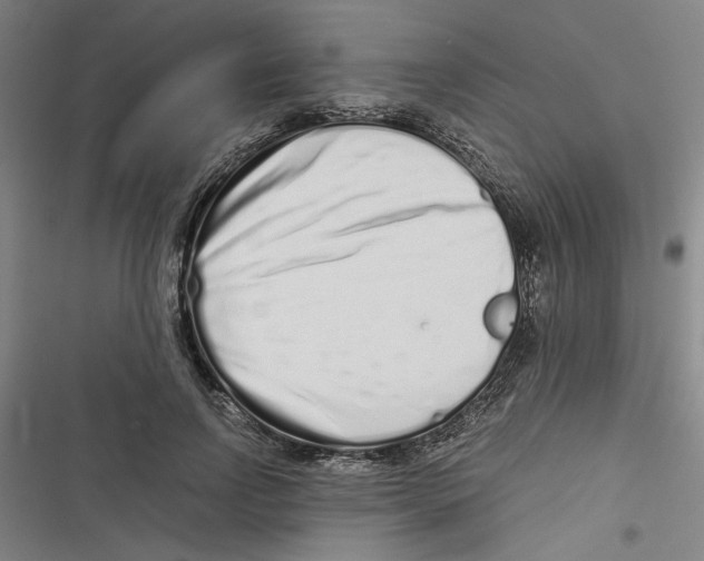 X0000116760742201001141429