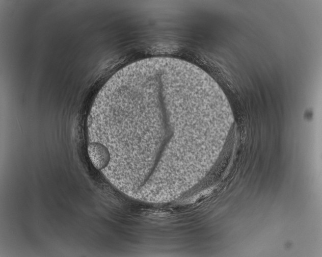 X0000116760743201001141429