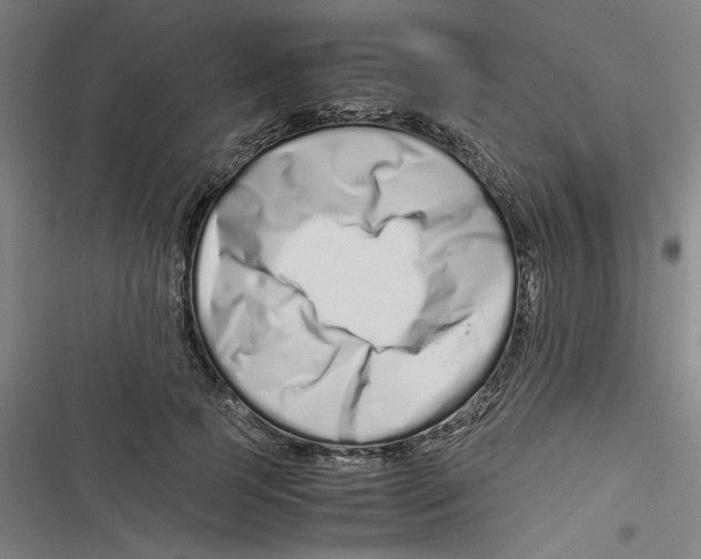 X0000116760745201001141429