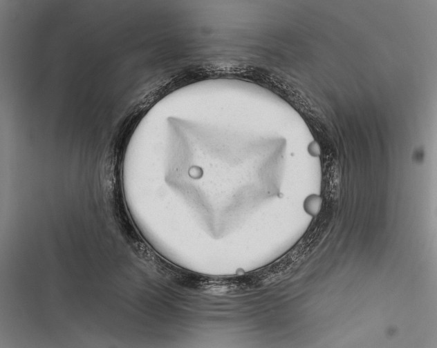 X0000116760746201001141429