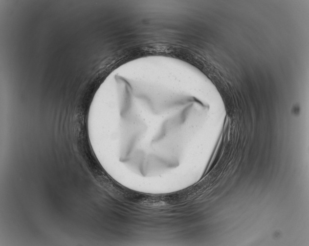 X0000116760747201001141429