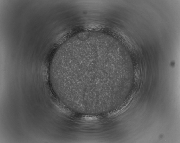 X0000116760749201001141429