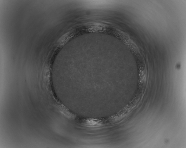 X0000116760753201001141429