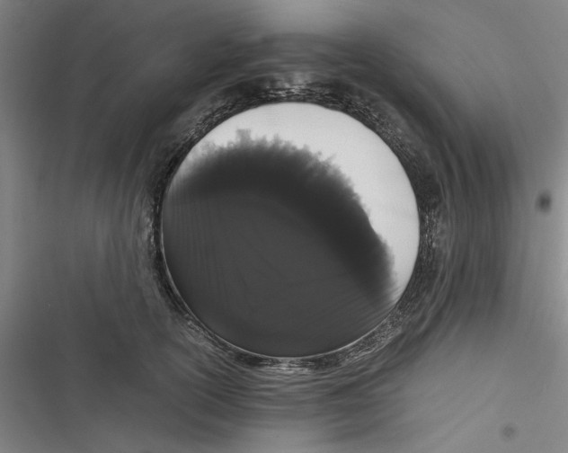 X0000116760754201001141429