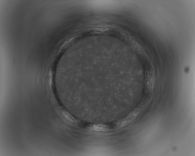 X0000116760758201001141429