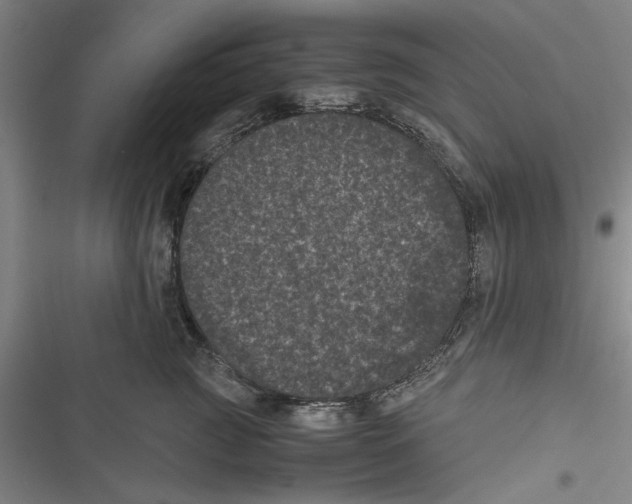 X0000116760761201001141429