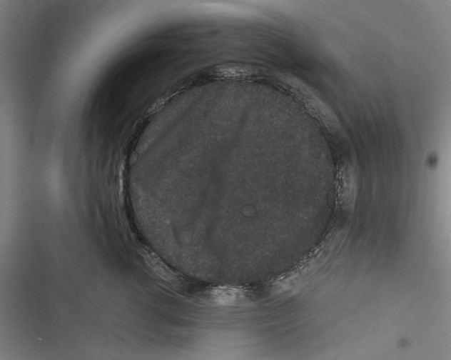 X0000116760762201001141429