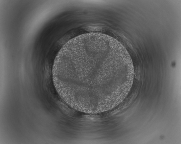 X0000116760763201001141429