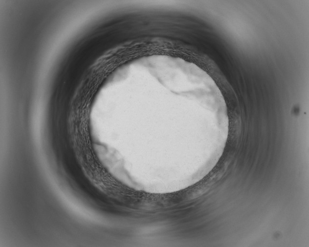 X0000116760765201001141429