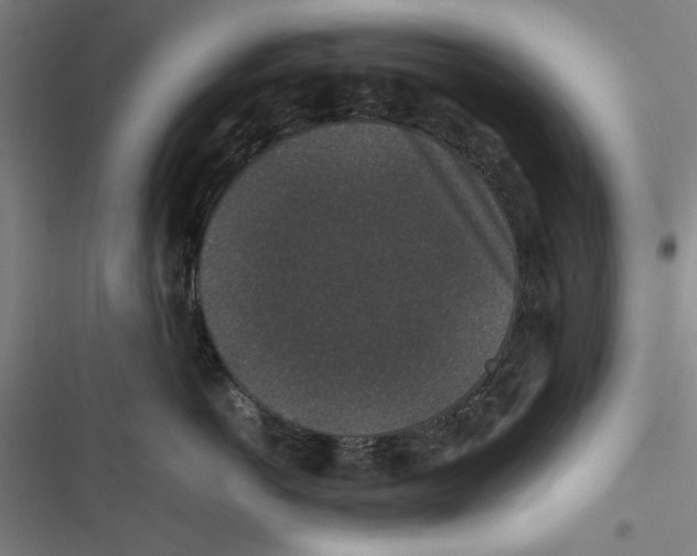 X0000116760766201001141429