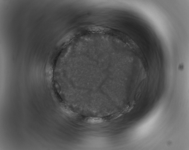 X0000116760767201001141429