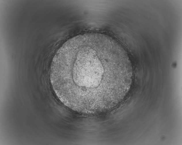 X0000116760769201001141429