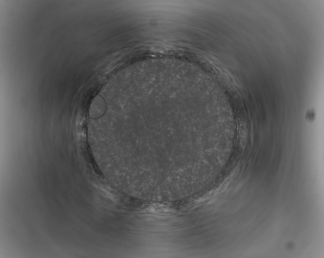 X0000116760770201001141429