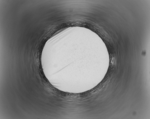 X0000116760771201001141429