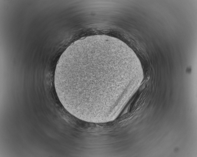 X0000116760772201001141429