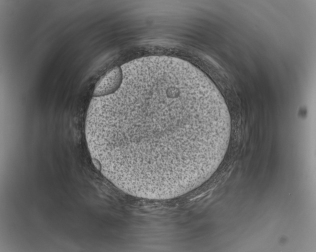 X0000116760774201001141429