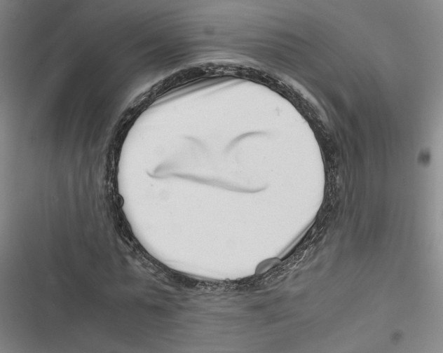 X0000116760775201001141429