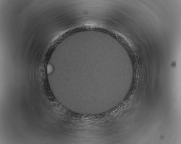 X0000116760776201001141429