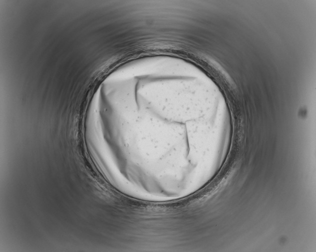 X0000116760777201001141429