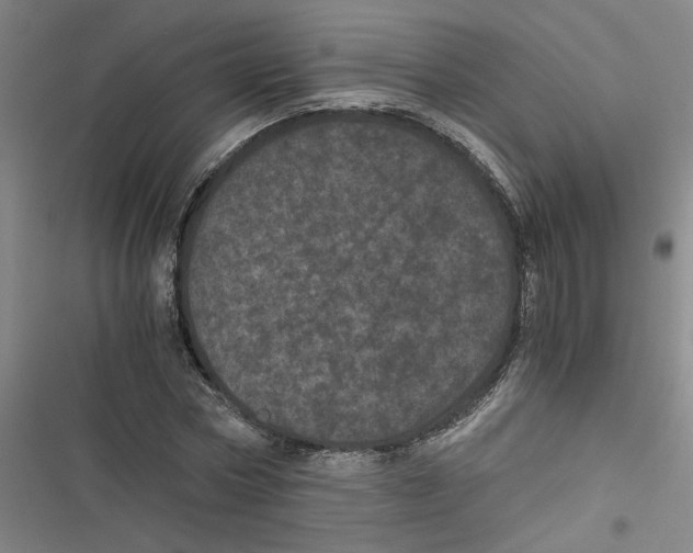 X0000116760778201001141429