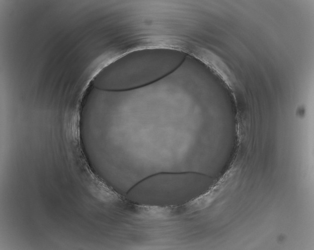 X0000116760781201001141429