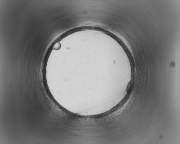 X0000116760783201001141429