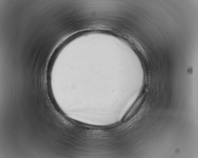 X0000116760784201001141429