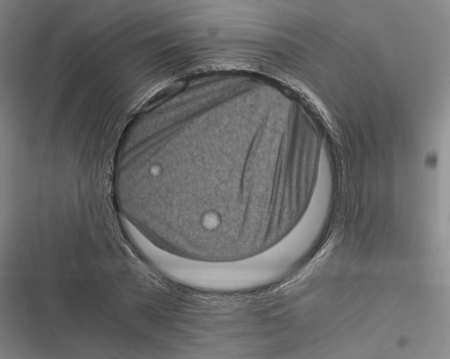 X0000116760785201001141429