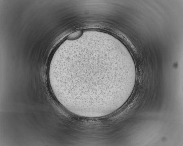 X0000116760786201001141429