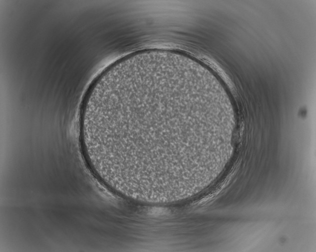 X0000116760787201001141429