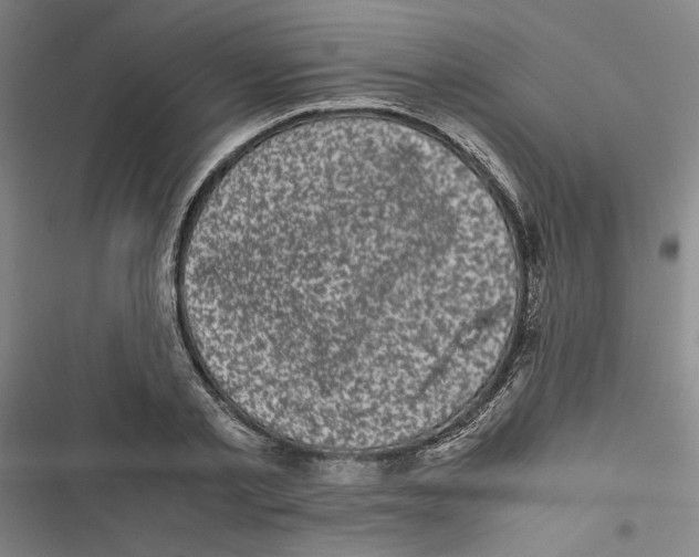 X0000116760789201001141429