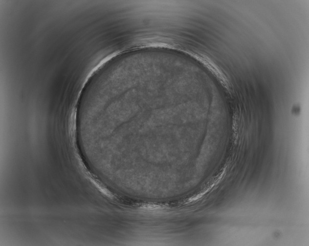 X0000116760790201001141429