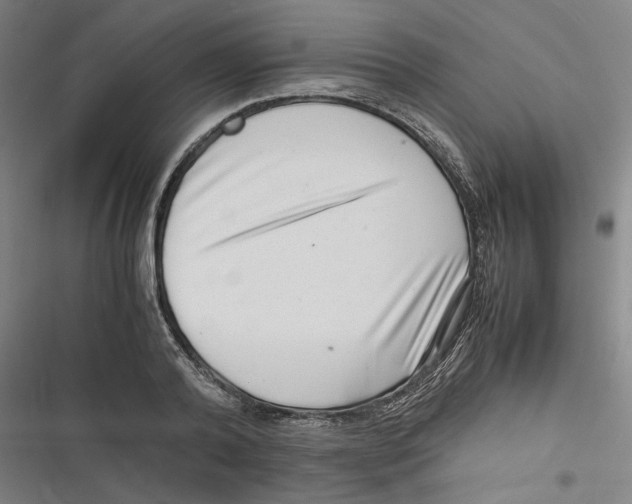 X0000116760792201001141429