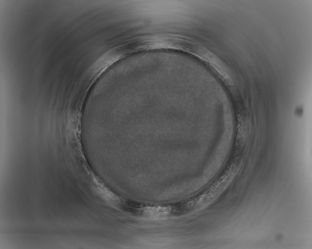 X0000116760793201001141429