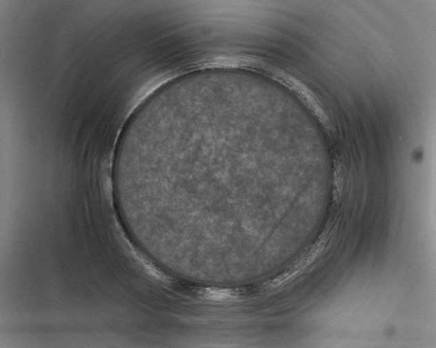 X0000116760794201001141429