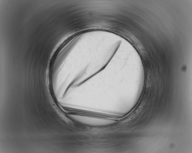 X0000116760796201001141428