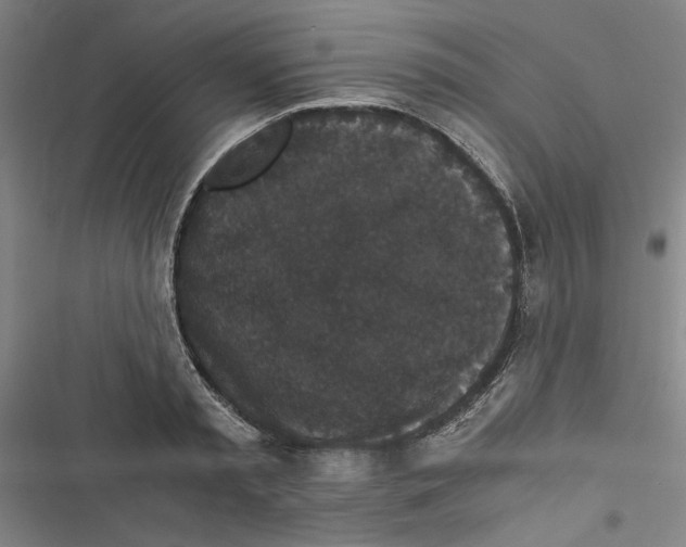 X0000116760797201001141428