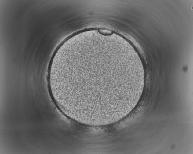 X0000116760799201001141428