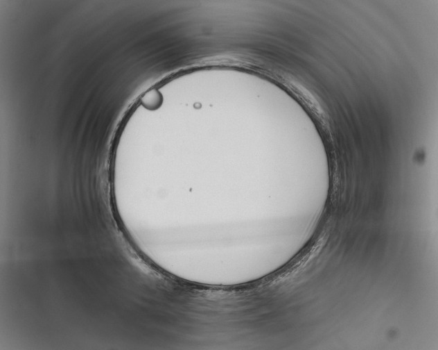 X0000116760800201001141428