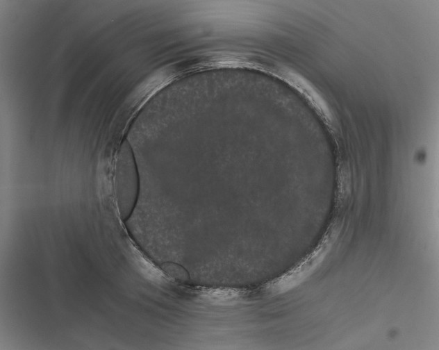 X0000116760801201001141428