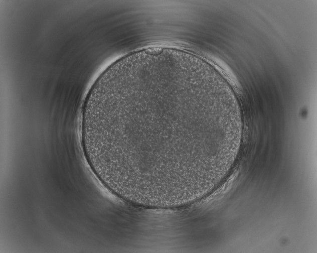 X0000116760804201001141428