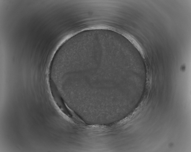 X0000116760805201001141428