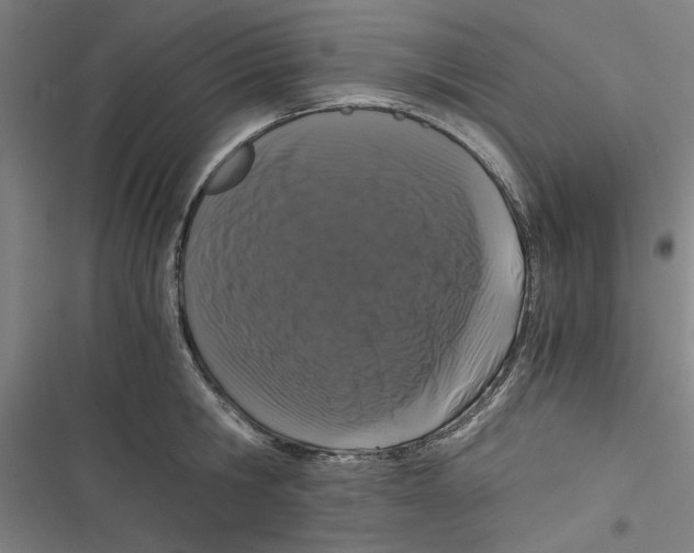 X0000116760806201001141428