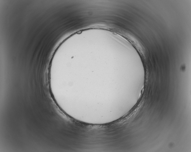 X0000116760808201001141428